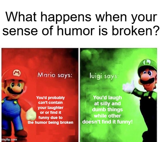 Are you with Mario or Luigi? | What happens when your sense of humor is broken? You'd probably can't contain your laughter or or find it funny due to the humor being broken; You'd laugh at silly and dumb things while other doesn't find it funny! | image tagged in mario bros views,memes | made w/ Imgflip meme maker