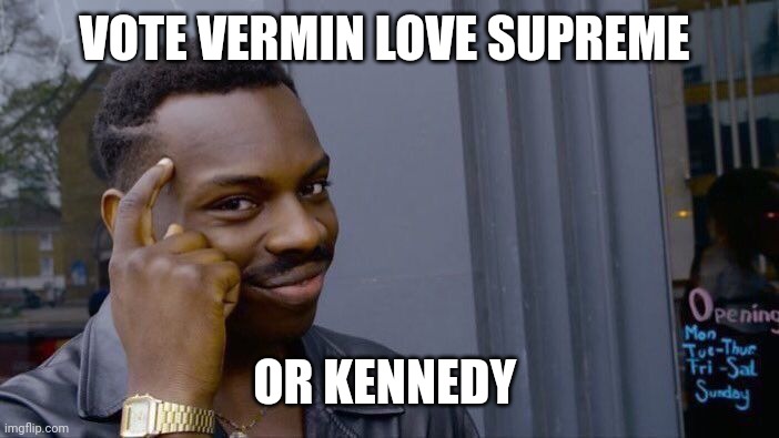 Roll Safe Think About It | VOTE VERMIN LOVE SUPREME; OR KENNEDY | image tagged in memes,roll safe think about it | made w/ Imgflip meme maker