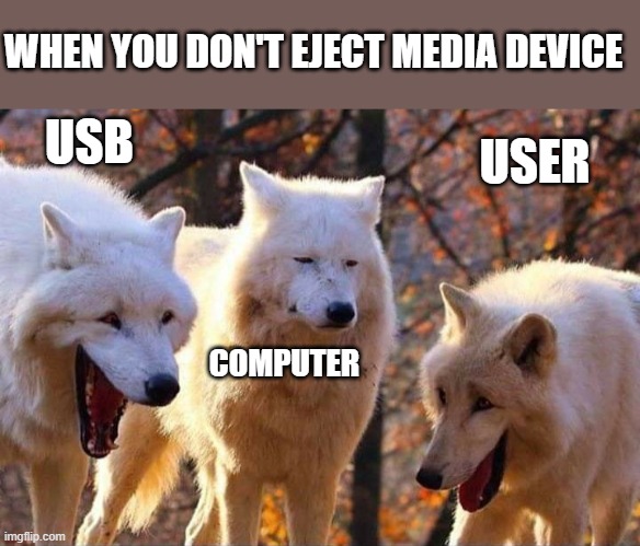 Laughing wolf | WHEN YOU DON'T EJECT MEDIA DEVICE; USB; USER; COMPUTER | image tagged in laughing wolf,technology | made w/ Imgflip meme maker