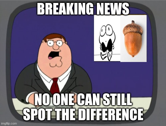 acorn | BREAKING NEWS; NO ONE CAN STILL SPOT THE DIFFERENCE | image tagged in memes,meme,family guy,nutshell,acorn,peter griffin | made w/ Imgflip meme maker