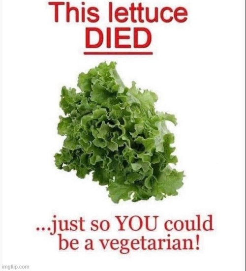 Death ! | image tagged in salad | made w/ Imgflip meme maker