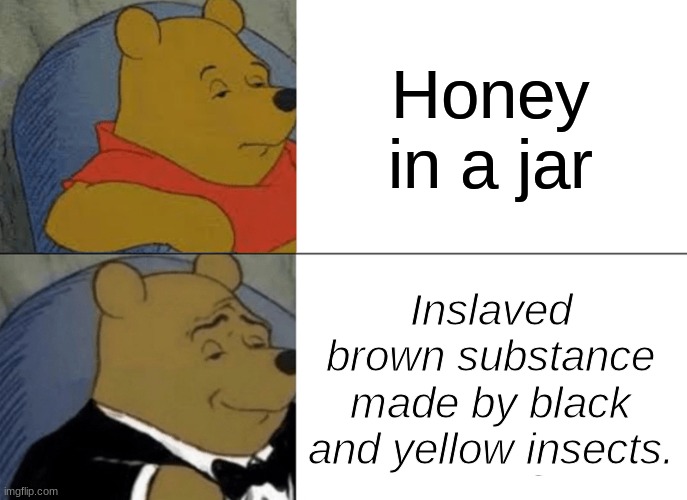Honey in a jar... | Honey in a jar; Inslaved brown substance made by black and yellow insects. | image tagged in memes,tuxedo winnie the pooh | made w/ Imgflip meme maker