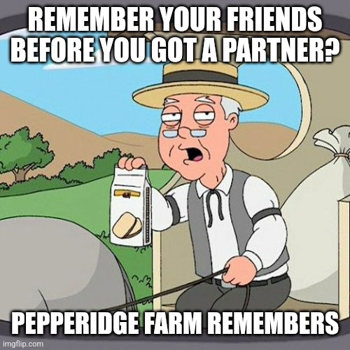 Pepperidge Farm Remembers Meme | REMEMBER YOUR FRIENDS BEFORE YOU GOT A PARTNER? PEPPERIDGE FARM REMEMBERS | image tagged in memes,pepperidge farm remembers | made w/ Imgflip meme maker