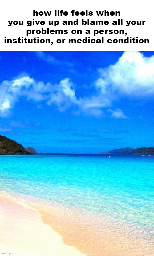 jokes aside pda sucks ass | how life feels when you give up and blame all your problems on a person, institution, or medical condition | made w/ Imgflip meme maker