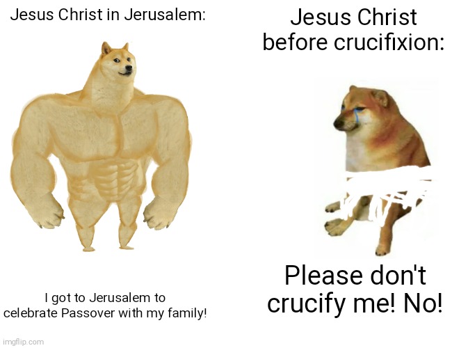 This is an Holy Week special. | Jesus Christ in Jerusalem:; Jesus Christ before crucifixion:; Please don't crucify me! No! I got to Jerusalem to celebrate Passover with my family! | image tagged in memes,buff doge vs cheems | made w/ Imgflip meme maker
