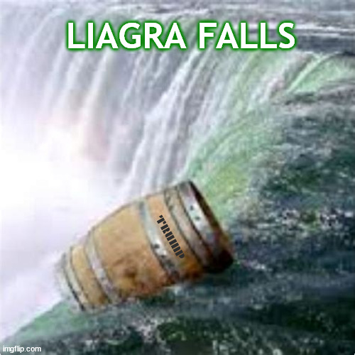 Trump lies | LIAGRA FALLS; TRUMP | image tagged in lisgra falls,trump lies,maga madness,niagra falls,in a barrel,if trump was a river | made w/ Imgflip meme maker