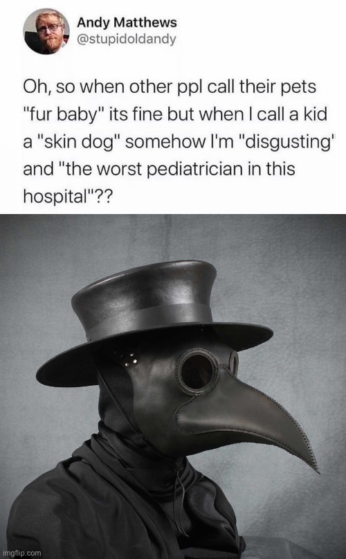 Skin dog | image tagged in plague doctor,pets,baby,furry | made w/ Imgflip meme maker