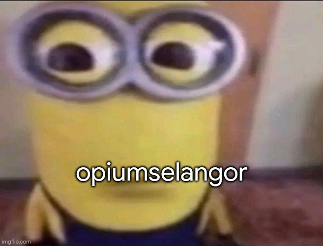 opiumselangor | opiumselangor | image tagged in minion stare | made w/ Imgflip meme maker