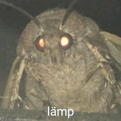 Lamp Moth | lämp | image tagged in lamp moth | made w/ Imgflip meme maker