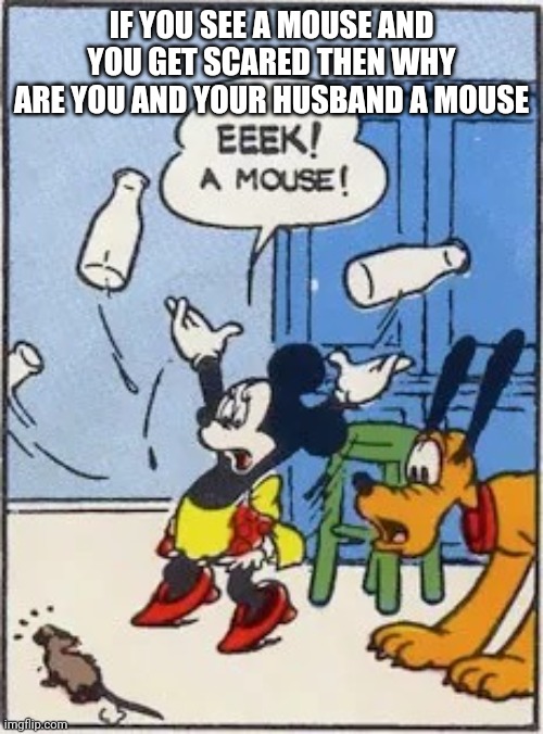 Stupid am I right | IF YOU SEE A MOUSE AND YOU GET SCARED THEN WHY ARE YOU AND YOUR HUSBAND A MOUSE | image tagged in eek a mouse | made w/ Imgflip meme maker