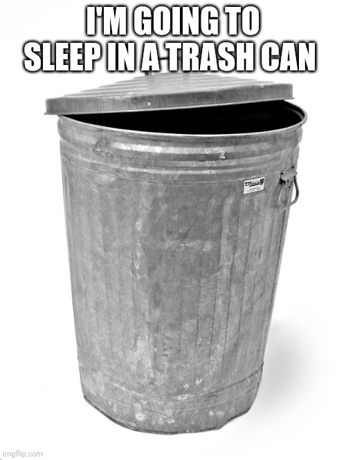 Bye I hate myself! | I'M GOING TO SLEEP IN A TRASH CAN | image tagged in trash can | made w/ Imgflip meme maker