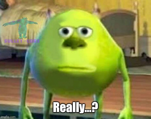 Monsters Inc | Really…? | image tagged in monsters inc | made w/ Imgflip meme maker