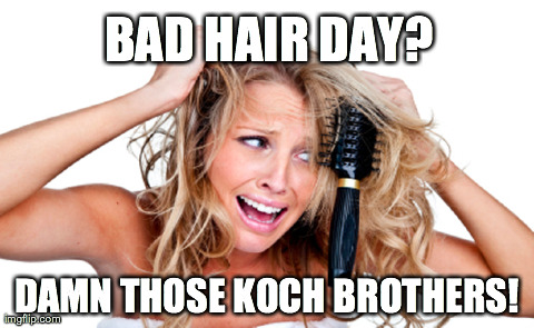BAD HAIR DAY? DAMN THOSE KOCH BROTHERS! | made w/ Imgflip meme maker