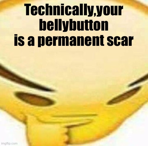 HMMMMMMM | Technically,your bellybutton is a permanent scar | image tagged in hmmmmmmm | made w/ Imgflip meme maker