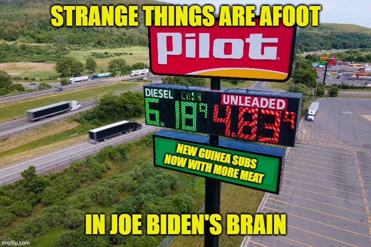 STRANGE THINGS ARE AFOOT IN JOE BIDEN'S BRAIN NEW GUINEA SUBS
NOW WITH MORE MEAT | made w/ Imgflip meme maker