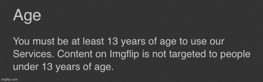 Imgflip terms of service age | image tagged in imgflip terms of service age | made w/ Imgflip meme maker