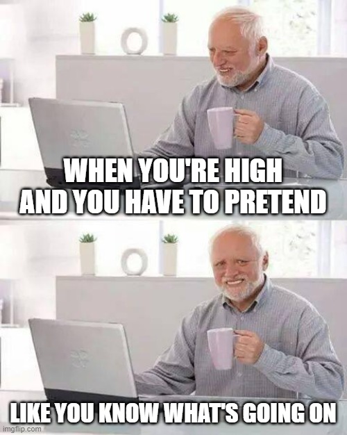 Hide the Pain Harold | WHEN YOU'RE HIGH AND YOU HAVE TO PRETEND; LIKE YOU KNOW WHAT'S GOING ON | image tagged in memes,hide the pain harold | made w/ Imgflip meme maker