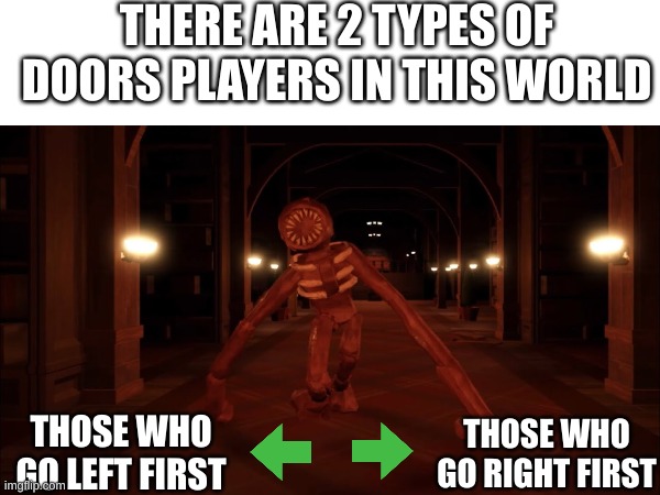 Personally, I go left first | THERE ARE 2 TYPES OF DOORS PLAYERS IN THIS WORLD; THOSE WHO GO LEFT FIRST; THOSE WHO GO RIGHT FIRST | image tagged in roblox doors,roblox,roblox meme,video games,gaming | made w/ Imgflip meme maker