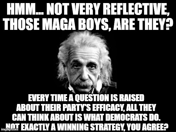 Albert Einstein 1 Meme | HMM... NOT VERY REFLECTIVE, THOSE MAGA BOYS, ARE THEY? EVERY TIME A QUESTION IS RAISED ABOUT THEIR PARTY'S EFFICACY, ALL THEY CAN THINK ABOU | image tagged in memes,albert einstein 1 | made w/ Imgflip meme maker
