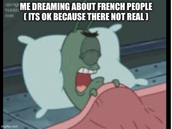 Ther not real | ME DREAMING ABOUT FRENCH PEOPLE ( ITS OK BECAUSE THERE NOT REAL ) | image tagged in plankton | made w/ Imgflip meme maker