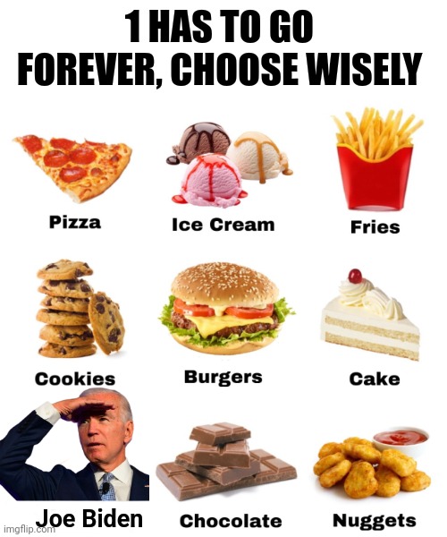 1 HAS TO GO FOREVER, CHOOSE WISELY; Joe Biden | image tagged in who would win,foods,joe biden | made w/ Imgflip meme maker