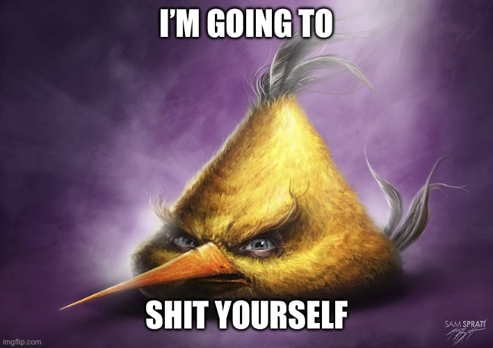 Realistic yellow angry bird | I’M GOING TO; SHIT YOURSELF | image tagged in realistic yellow angry bird | made w/ Imgflip meme maker
