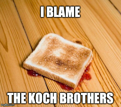 I BLAME THE KOCH BROTHERS | made w/ Imgflip meme maker