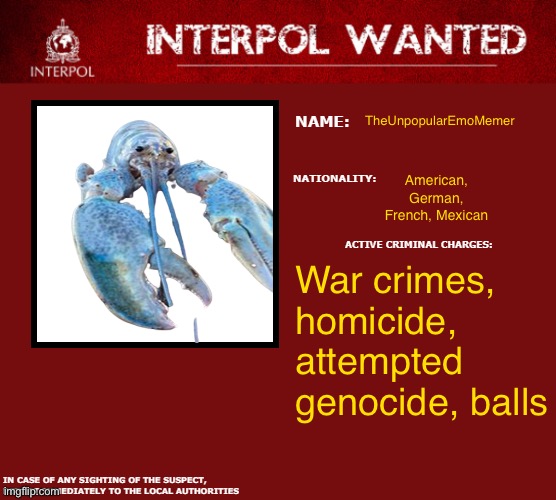 Interpol Wanted Warning | TheUnpopularEmoMemer; American, German, French, Mexican; War crimes, homicide, attempted genocide, balls | image tagged in interpol wanted warning | made w/ Imgflip meme maker