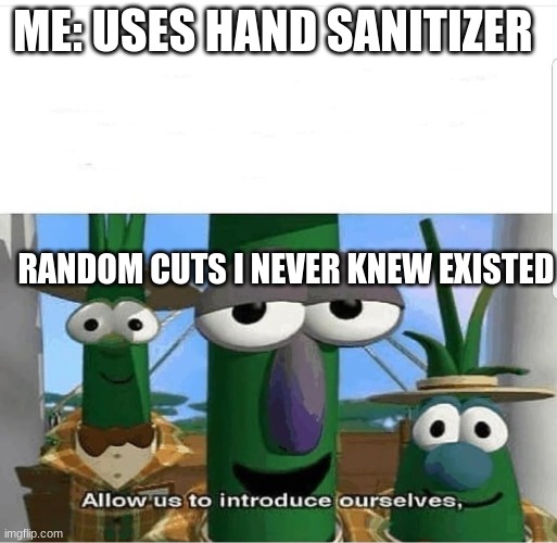 I hate paper cuts | ME: USES HAND SANITIZER; RANDOM CUTS I NEVER KNEW EXISTED | image tagged in allow us to introduce ourselves,memes,hand sanitizer | made w/ Imgflip meme maker