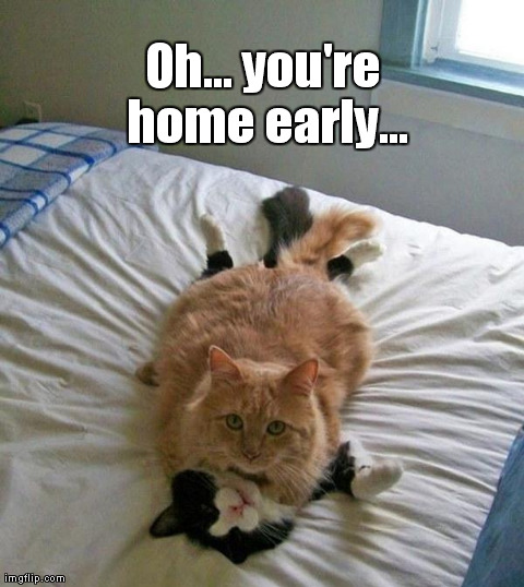 Oh... you're home early... | image tagged in caught in the act | made w/ Imgflip meme maker