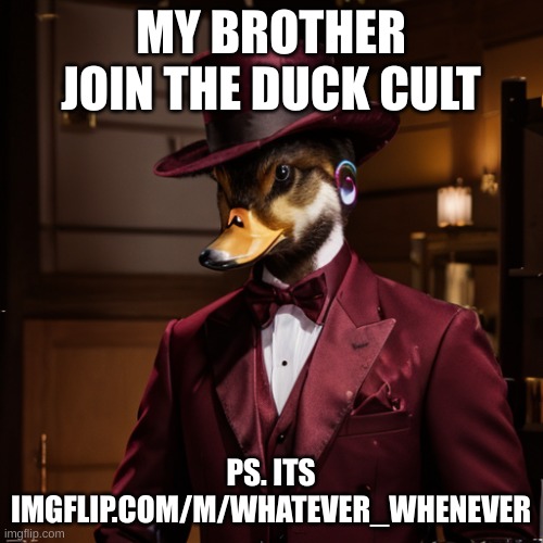He has reached his final form | MY BROTHER JOIN THE DUCK CULT; PS. ITS IMGFLIP.COM/M/WHATEVER_WHENEVER | image tagged in he has reached his final form | made w/ Imgflip meme maker