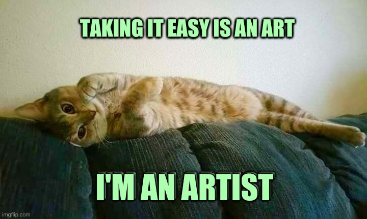 Easy Does It. | TAKING IT EASY IS AN ART; I'M AN ARTIST | image tagged in cat,cute cat,take it easy,art,artist,casual | made w/ Imgflip meme maker