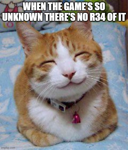 Yey | WHEN THE GAME'S SO UNKNOWN THERE'S NO R34 OF IT | image tagged in so happy cat | made w/ Imgflip meme maker