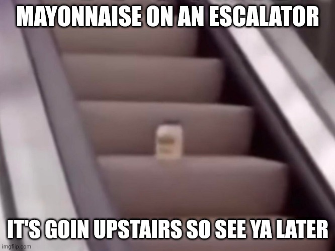 Yeah we remember this meme | MAYONNAISE ON AN ESCALATOR; IT'S GOIN UPSTAIRS SO SEE YA LATER | image tagged in mayonnaise on an escalator | made w/ Imgflip meme maker