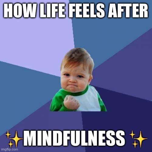 Mindfulness | HOW LIFE FEELS AFTER; ✨MINDFULNESS ✨ | image tagged in memes,success kid | made w/ Imgflip meme maker
