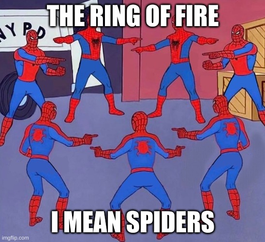 Spiderman multiple | THE RING OF FIRE; I MEAN SPIDERS | image tagged in spiderman multiple | made w/ Imgflip meme maker