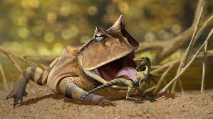 Frog eating Blank Meme Template