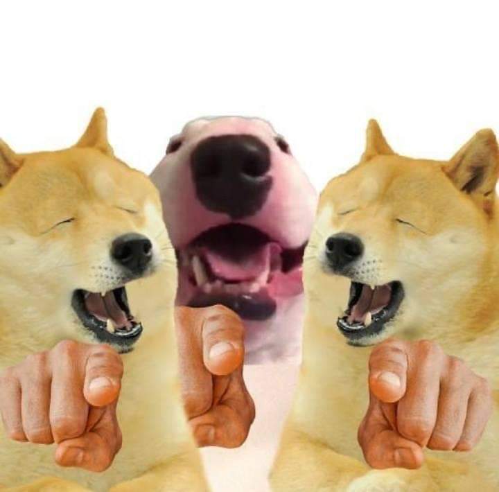 doge laughing Blank Meme Template