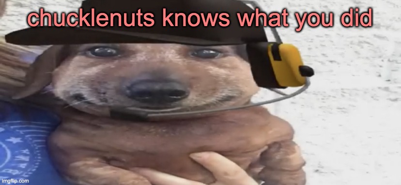 chucklenuts | chucklenuts knows what you did | image tagged in chucklenuts | made w/ Imgflip meme maker