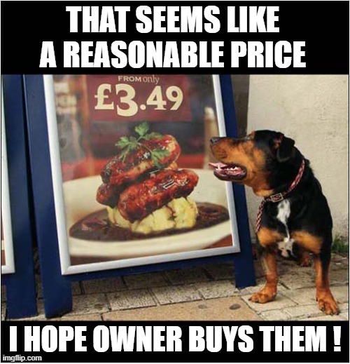 Dog Loves A Bargain ! | THAT SEEMS LIKE A REASONABLE PRICE; I HOPE OWNER BUYS THEM ! | image tagged in dogs,sausages | made w/ Imgflip meme maker