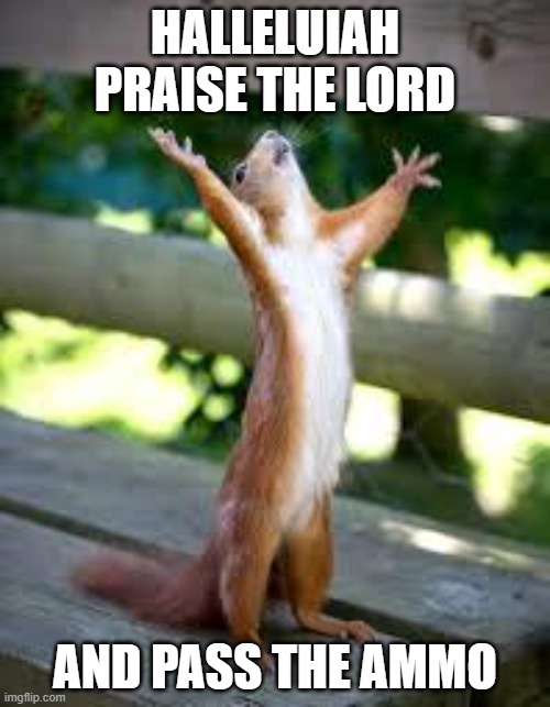 Gratitude | HALLELUIAH PRAISE THE LORD; AND PASS THE AMMO | image tagged in praise squirrel | made w/ Imgflip meme maker