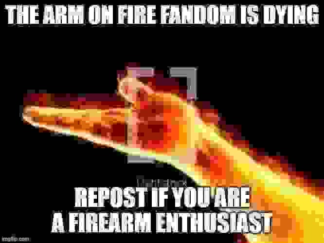 repost if you are a firearm enthusiast | image tagged in repost if you are a fireawm enthusiast | made w/ Imgflip meme maker