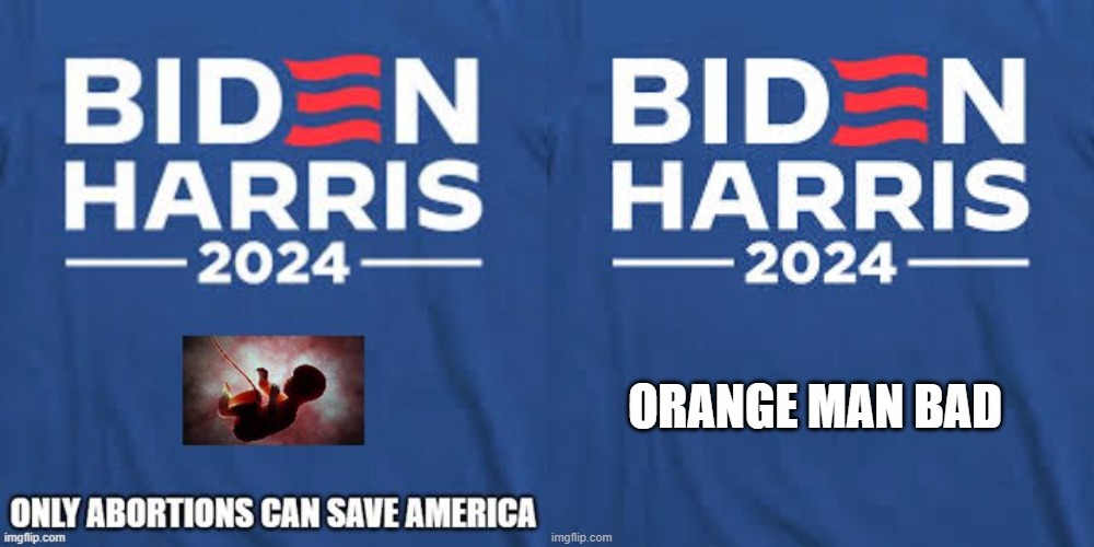 Biden / Harris, 2024 | image tagged in biden,kamala harris | made w/ Imgflip meme maker