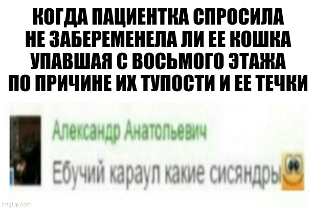 Why not in the ward | КОГДА ПАЦИЕНТКА СПРОСИЛА НЕ ЗАБЕРЕМЕНЕЛА ЛИ ЕЕ КОШКА УПАВШАЯ С ВОСЬМОГО ЭТАЖА ПО ПРИЧИНЕ ИХ ТУПОСТИ И ЕЕ ТЕЧКИ | made w/ Imgflip meme maker