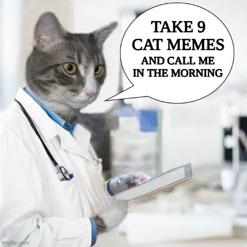 Cats are the Best Doctors | TAKE 9 CAT MEMES; AND CALL ME IN THE MORNING | image tagged in dr jack medical cat,cat,cat memes,cute cat,the cure,medicine | made w/ Imgflip meme maker