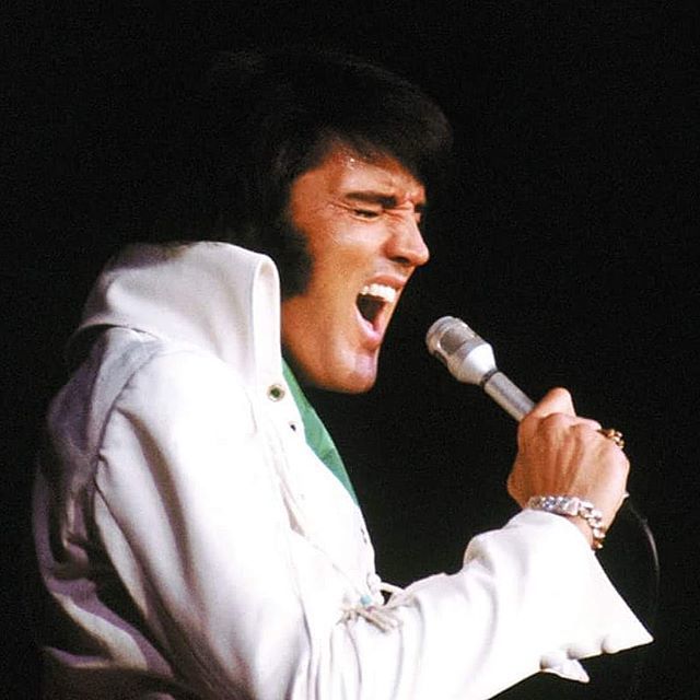 Elvis singing Blank Meme Template