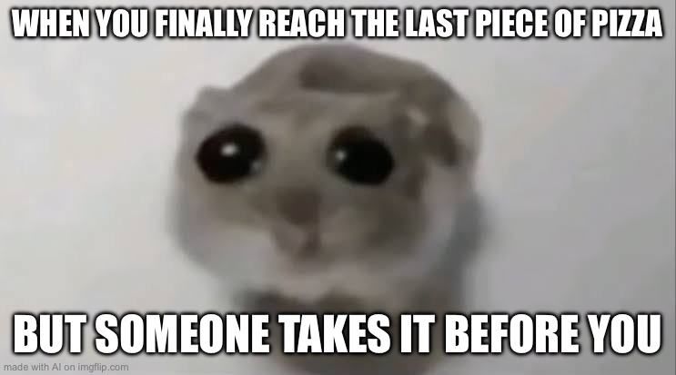 Sad Hamster | WHEN YOU FINALLY REACH THE LAST PIECE OF PIZZA; BUT SOMEONE TAKES IT BEFORE YOU | image tagged in sad hamster | made w/ Imgflip meme maker