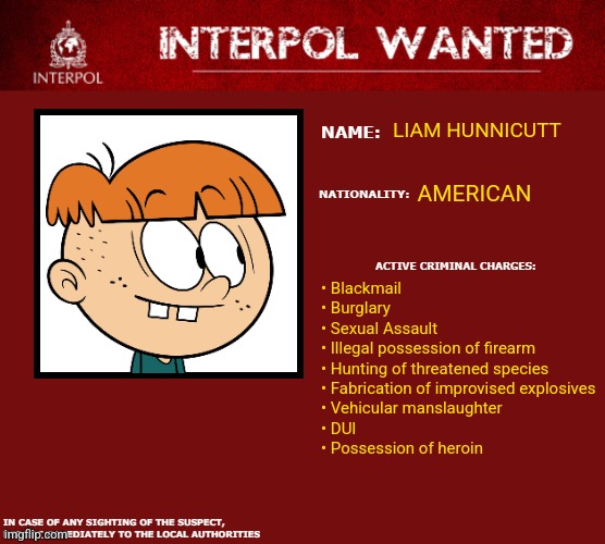 Interpol Wanted Warning | LIAM HUNNICUTT; AMERICAN; • Blackmail
• Burglary
• Sexual Assault
• Illegal possession of firearm
• Hunting of threatened species
• Fabrication of improvised explosives
• Vehicular manslaughter
• DUI
• Possession of heroin | image tagged in interpol wanted warning | made w/ Imgflip meme maker