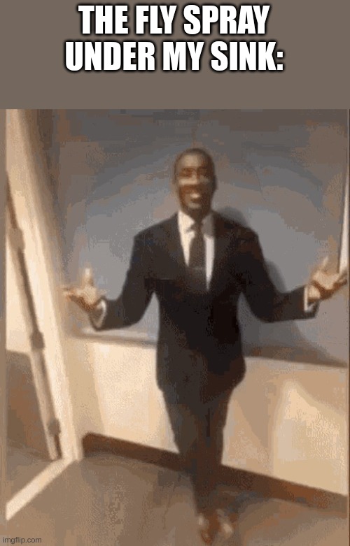 smiling black guy in suit | THE FLY SPRAY UNDER MY SINK: | image tagged in smiling black guy in suit | made w/ Imgflip meme maker