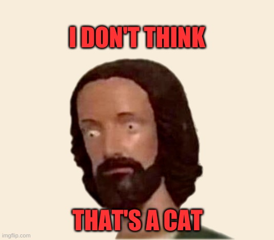 Plastic Jesus Head | I DON'T THINK THAT'S A CAT | image tagged in plastic jesus head,excuse me what the heck | made w/ Imgflip meme maker